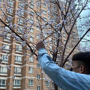 免费无码人妻中出小视频
