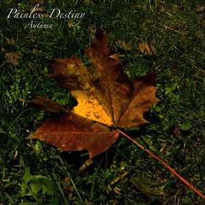 免费无码人妻中出小视频
